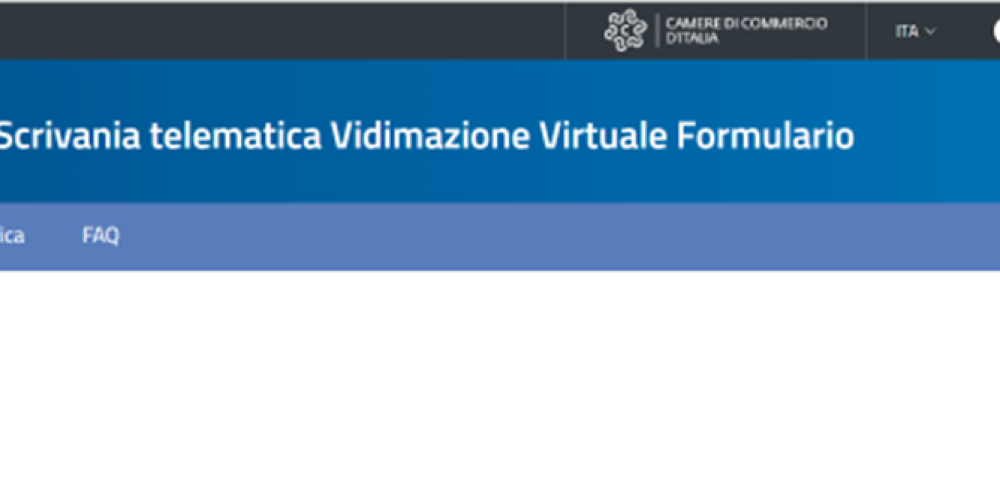 VI.VI.FIR – FACCIAMO IL PUNTO